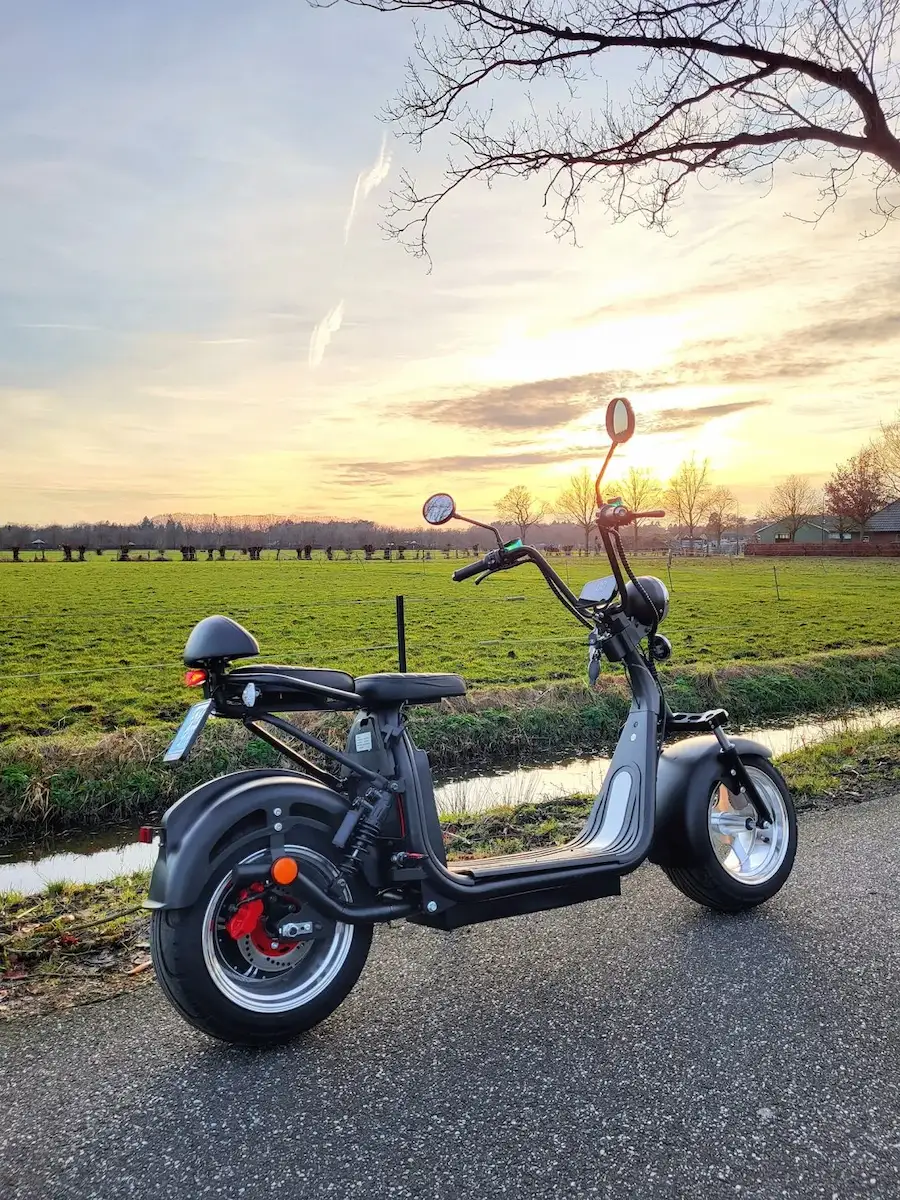 NIEUW: Duo e-chopper!
