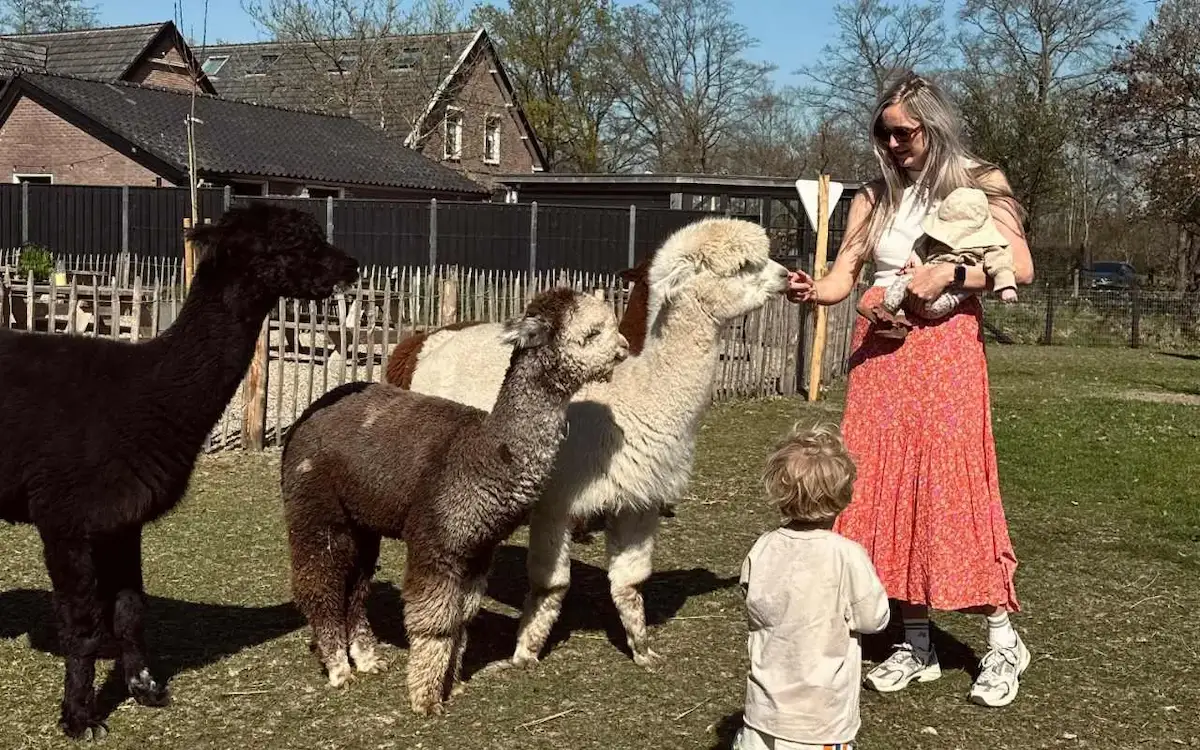 Meet, Feed & Greet