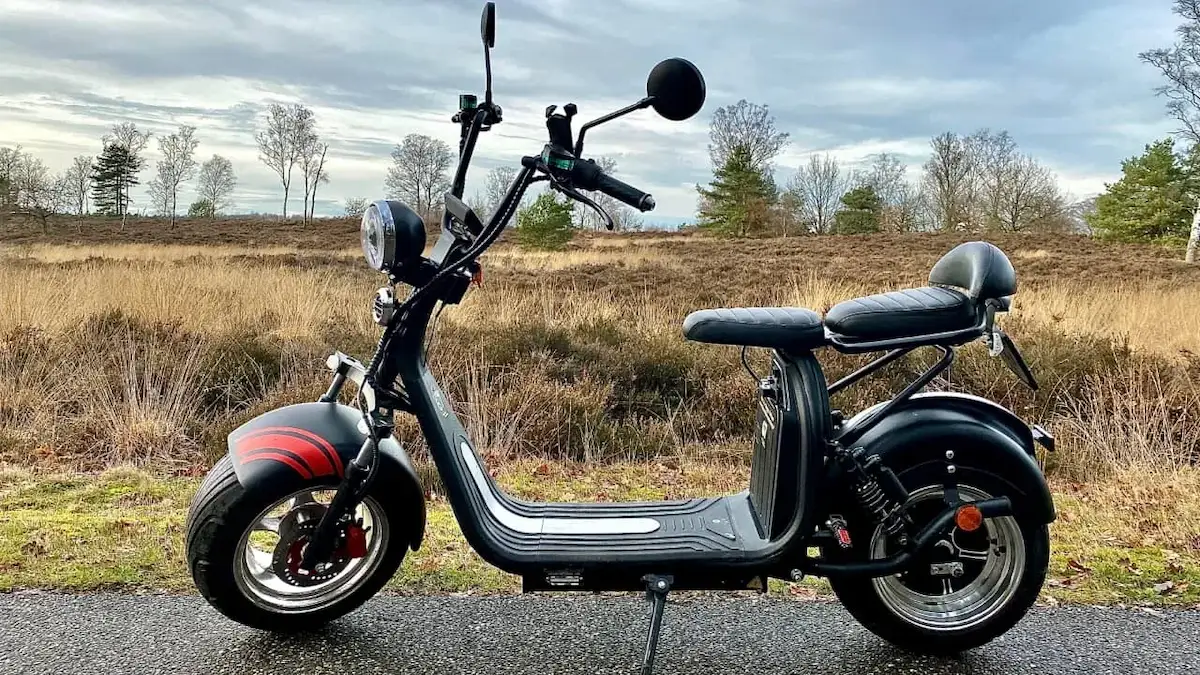 duo e-Chopper