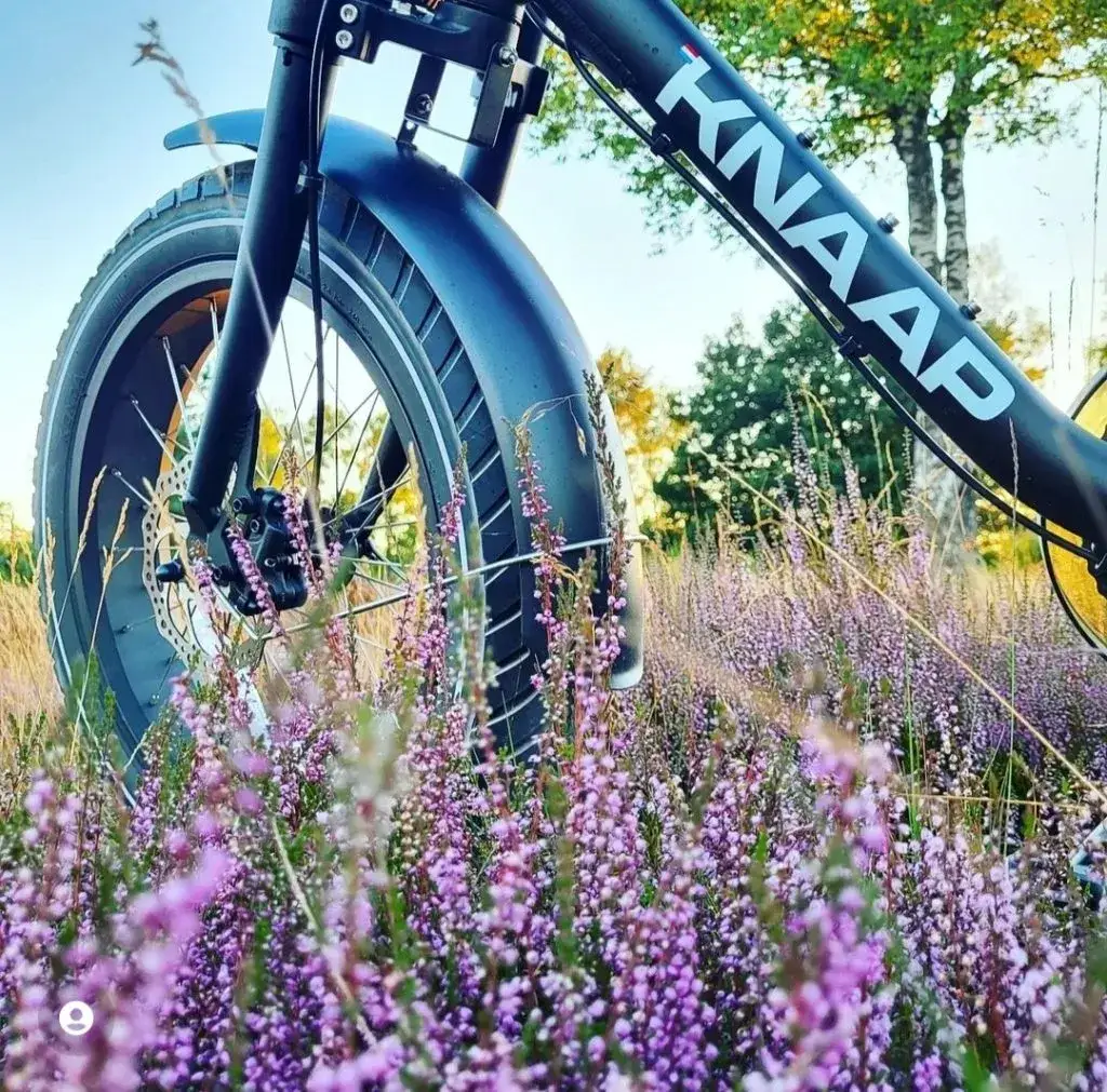 Touren over de bloeiende heide